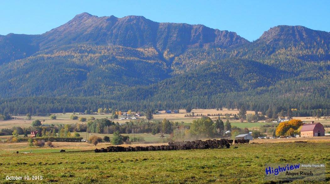 I Love WallowaCounty tweet media