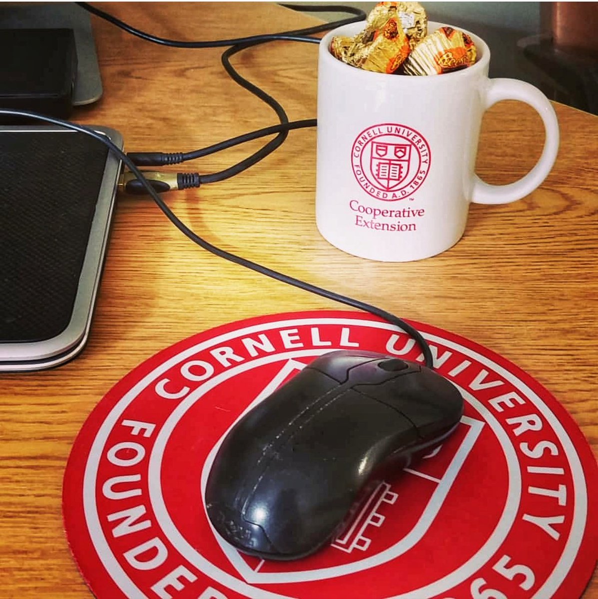 Welcome chocolates from my new colleagues...and a mug- for all of the coffee I will be consuming ☕