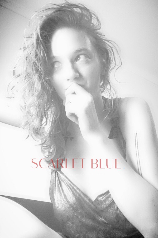 hayleyhalosyd's tweet photo. AVAILABLE NOW! Adelaide - I am now available for short notice bookings. To book visit https://t.co/f7l4tMQHHE https://t.co/ZwvnDoLrxi