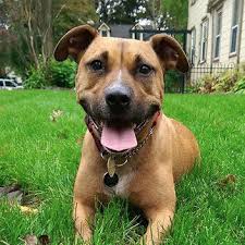 GeneralPooper's tweet image. 