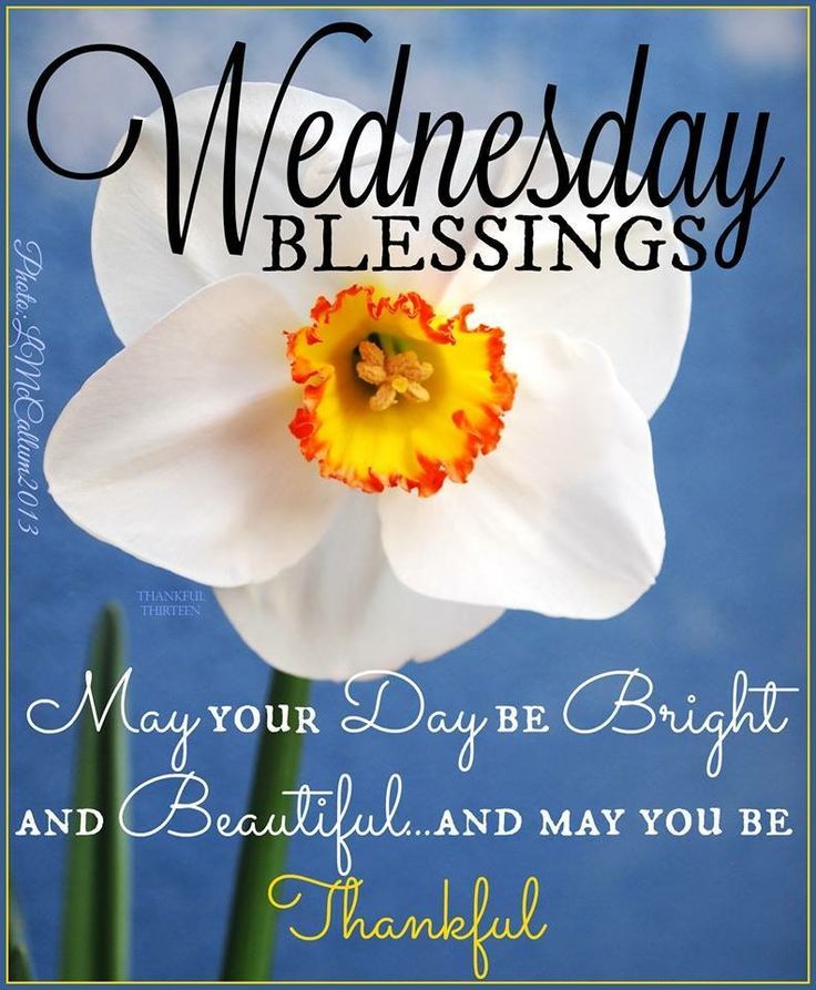 Rani Gill On Twitter Muskaan 777 Good Morning Friends