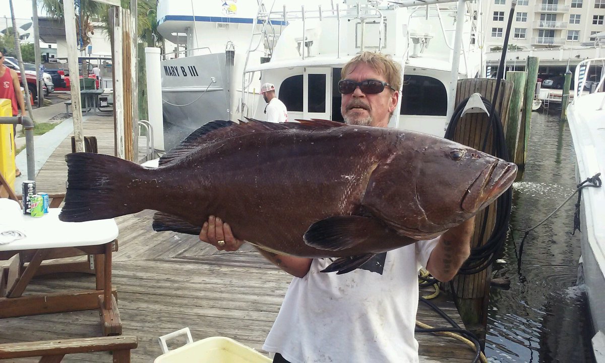 NewLatt Sportfishing tweet media