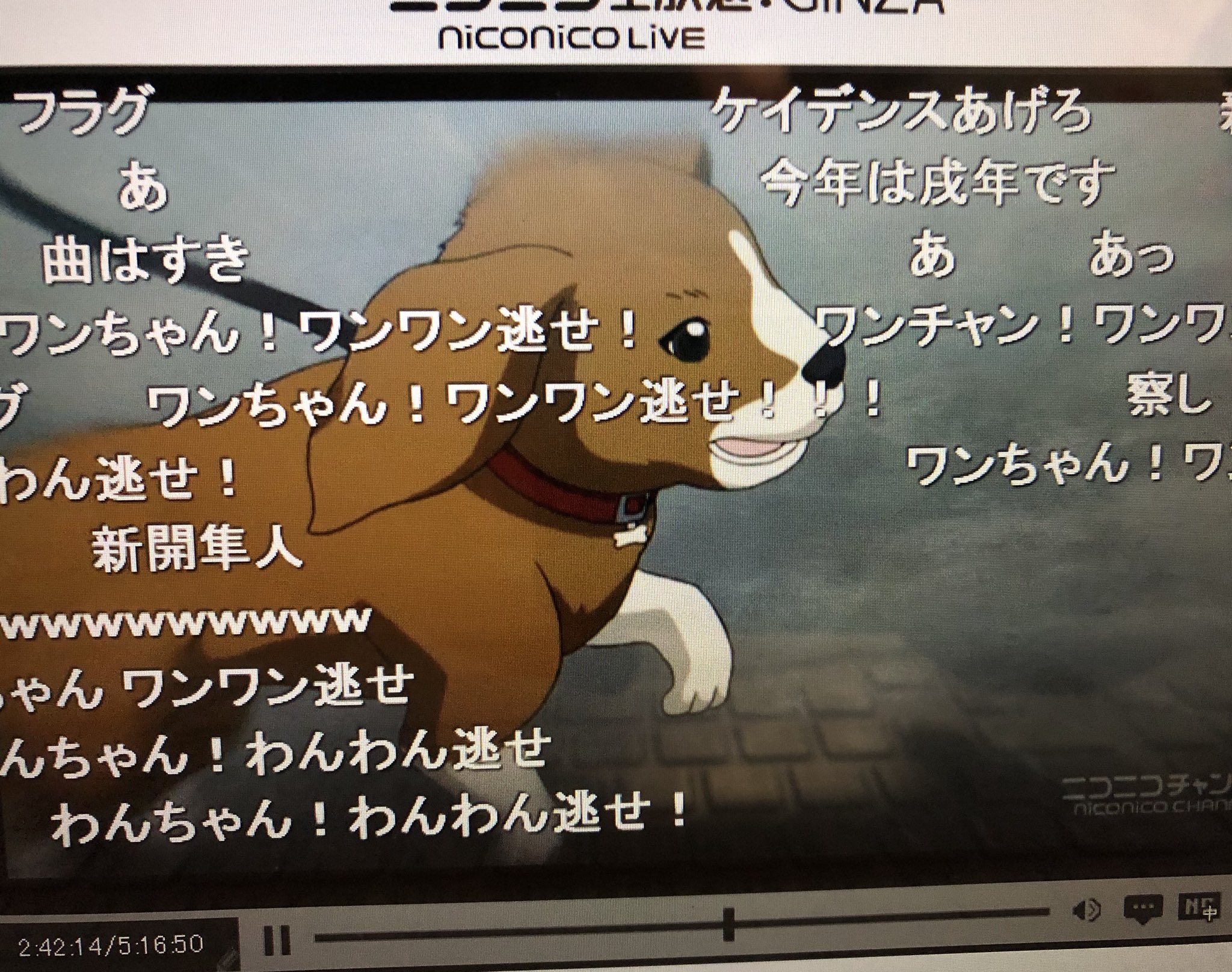 クニヒコ on X: クニヒコ on X: