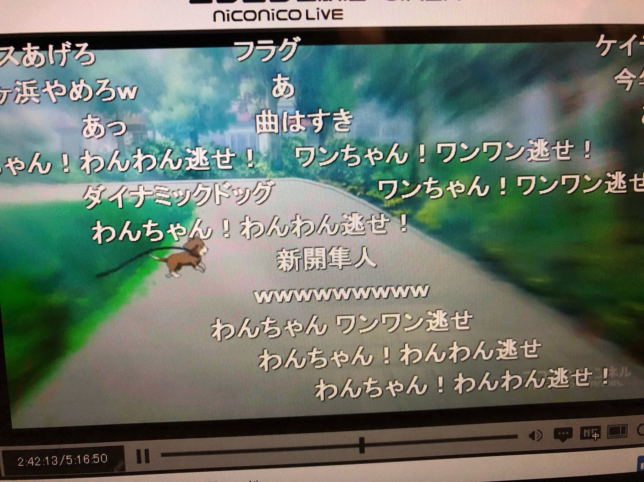 クニヒコ on X: クニヒコ on X:
