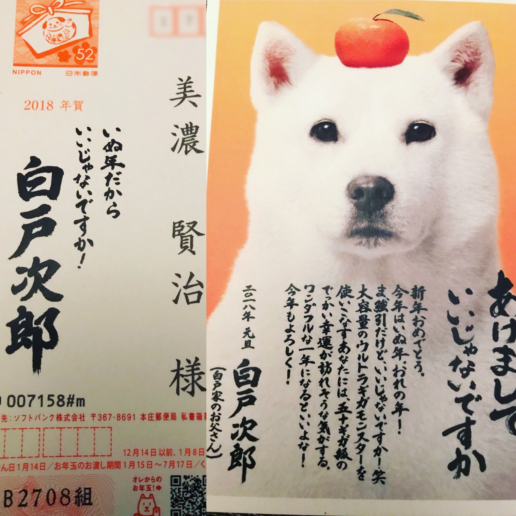 Twitter এ 美濃賢治 ミノケンジ 犬から年賀状来た いや 最初に宛名を書く側から見て 一瞬 白戸次郎 誰だっけ そんな知り合いいたカナ って 年賀状 白戸家 白戸次郎 Softbank ソフトバンク あけましていいじゃないですか いぬ年だから