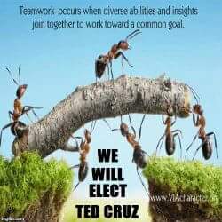 alesha_headley's tweet photo. @Dlw20161950 @JimDundee2 @TCuccio @pricklypear12 @smartgirls4gop @SnowLover814 @MikeDiaz285 @deeg25 @CruzaderGal @bcoleintn @Courage1791 @ChuckNASCAR @NatalieTexas @CruzinAhead @Cops4Cruz @KenDiesel @KayQuirk1 @Liberty_Values @NancyLRogers1 @ElectConserv @Ender316 @TEN4Texas @JimLoCascio84 @tedcruz @GregAbbott_TX #KeepTexasRed #CruzCrew #ChooseCruz #ISupportTedCruz #UnitewithCruz https://t.co/ATTar59e9E