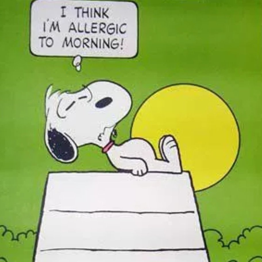 DGhostine's tweet image. Good Morning 
#back_on_track