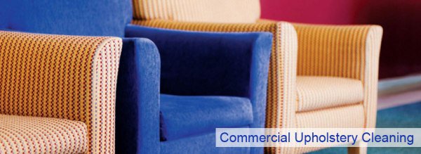MaidToSparkleFW's tweet photo. Upholstery Cleaning and Furniture Cleaning by Maid To Sparkle!
👉https://t.co/iplkIpfPS6 via @MaidToSparkleFW #CleaningService 
#upholstery https://t.co/B2hF0217ey