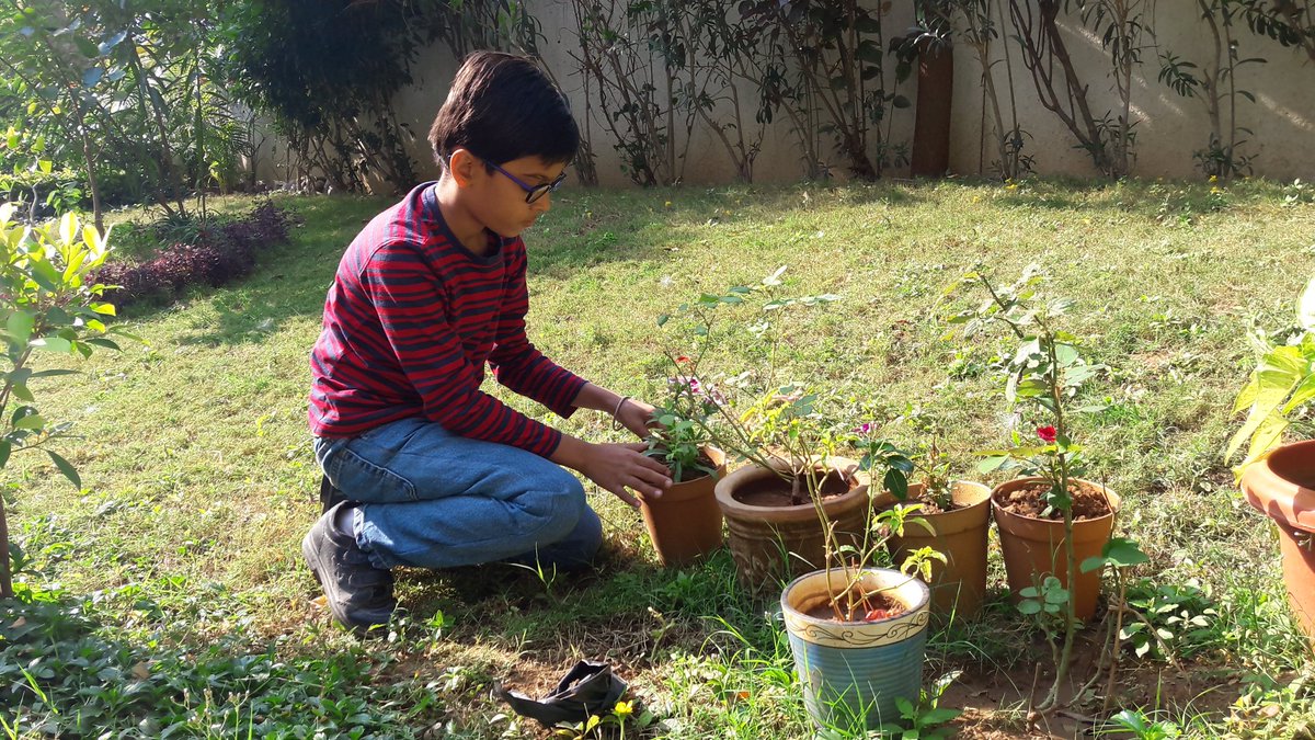 hitarthpandya's tweet photo. @kumarmanish9 @MyVaranasi @PMOIndia @narendramodi The students at @stkabirschool have been gifting plants and trees on their Birthdays. They do plantation on their own and take its care regularly. They are the #gamechangers The philosophy of #kediforkids is to #turnwordsintoaction https://t.co/j8PoizSIWL