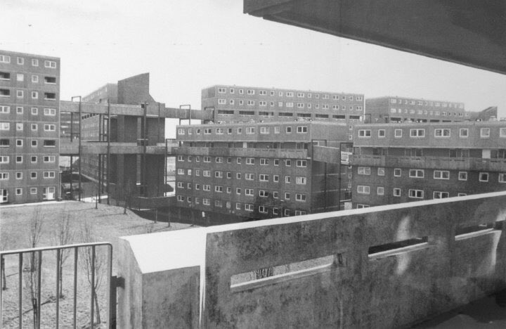 david cook tweet media