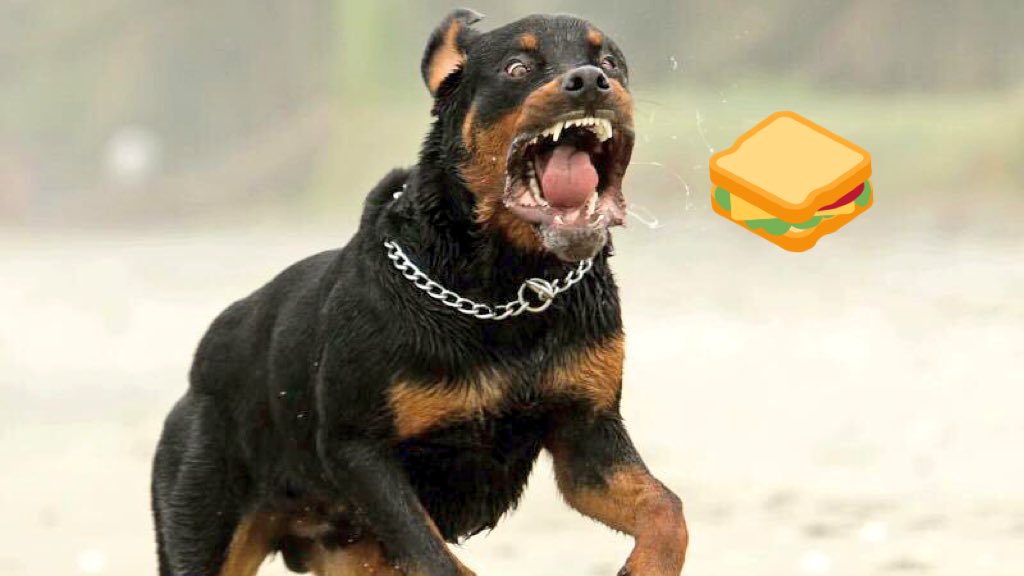 David A. Clarke, Jr. tweet media