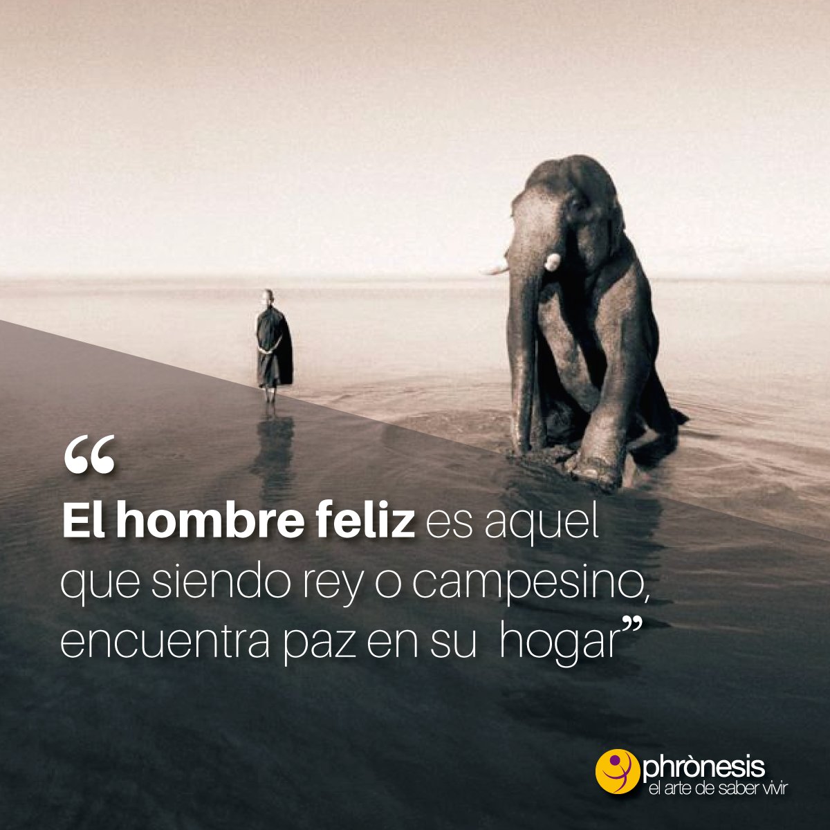 Ver las imágenes de origen