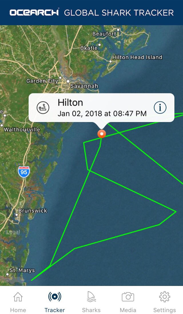 HiltonTheShark's tweet photo. My shark senses are tingling. I know the M/V @OCEARCH is around here somewhere! 🤔 @ChrisOCEARCH #pingmachine https://t.co/mO9Im5m8Ok