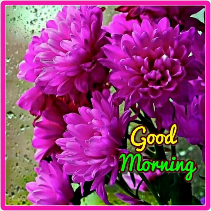 devinderraiji's tweet photo. @kapoorashok25 @nsbchd @amansi24 @dawar_l @Dilli_da_Jatt @greatairi @HumorMonger31 @NarsipKaur @RAJESH11RAJI @Rajivbakshi52 @sahajyoti3 @Yuvraj_kt @SodhiJin @sharma_jyo @nmehta4 @GovilHoshang @nameenaz @reehalanugeet @sukhvirgarcha @AmProudINDIAN @Sanjeevarora64 @kanwarsodhi72 @AroraRajdeep @Madhusudan222 @manjit_nokwal @dinesh_chawla @sevtamatar Good Morning Jee.
सबके कल्याण में ही मेरा कल्याण है।
सभी सुखी हों, प्रसन्न हो, सम्पन्न हो++++
#InPrayers https://t.co/MFHQGbOXP1