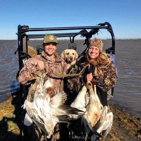 Fin Feather and Bone tweet media