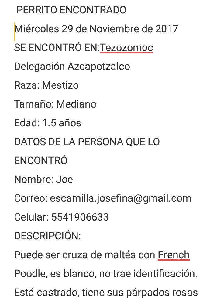 perrososmx's tweet photo. @UribeMerle @xjusticianimal @fellpudito @Apoyo_Croqueton @mariluzza @LeoJabbasky @Dcyon @EEYYYAA @Azcapotzalco_ @azcapotzalco_ve @scoutgpo37 @Denuncia_Azcapo #perrosperdidoscdmx #29nov2017 https://t.co/w4XIGU5ZPj