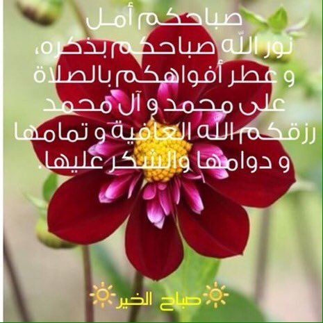 صباح مشرق بنور الله والاقبال على الله 
 صباح مملوء بالعطاء والتوجه إلى رب السماء
بأن يحفظ علينا النعم ويدفع عنا النقم 
 اللہم مع أنفاس هذا الصباح ارزُقنا حُلو الحياة وخير العطاء وسعة الرزق وراحة البال 
    ولباسَ العَافيہ وحسنَ الخاتِمه
