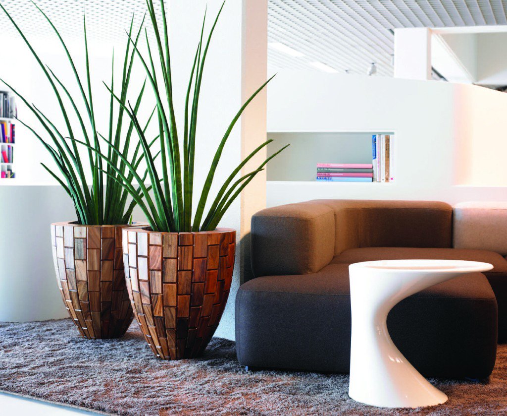 flora_tec tweet picture