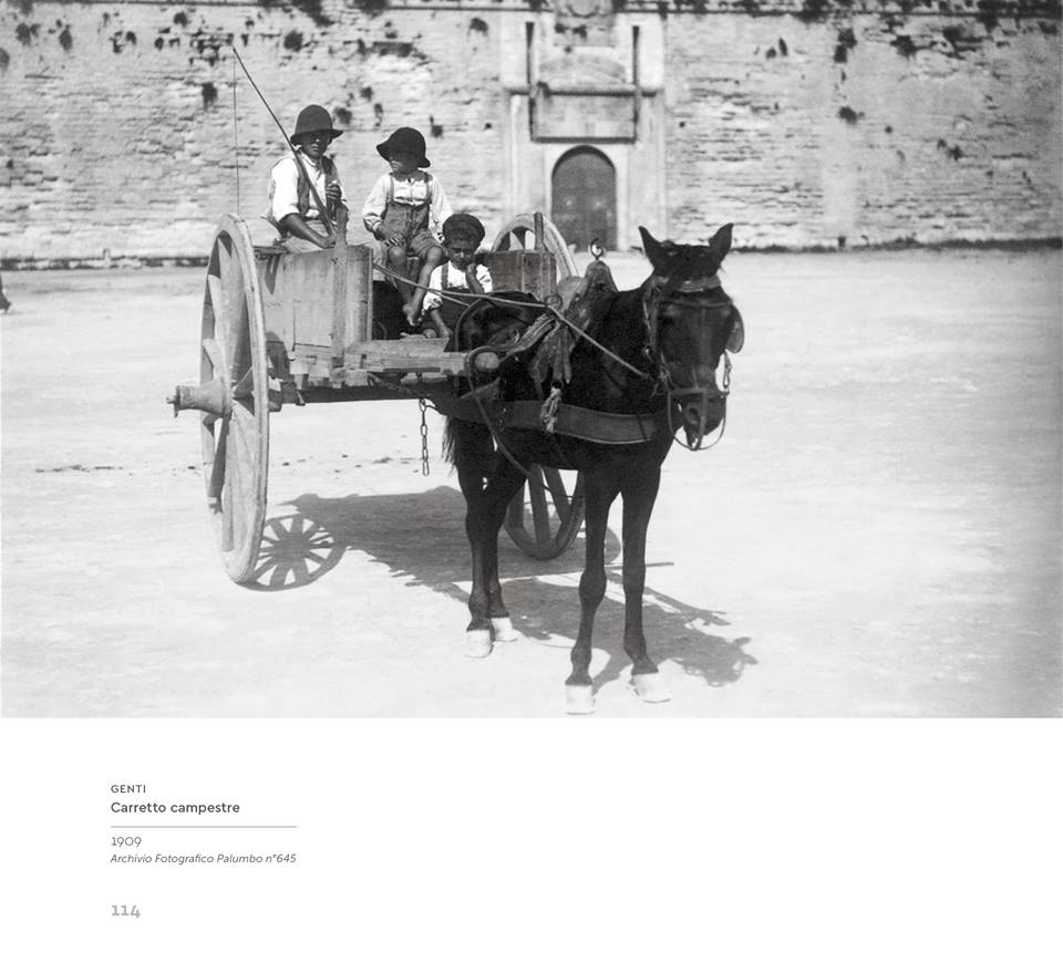 CastelloCarloV tweet media