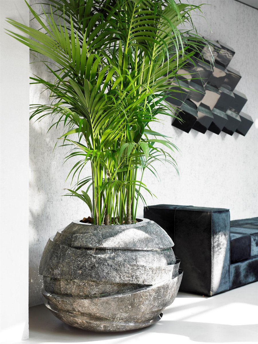 flora_tec tweet picture