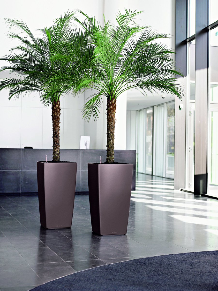 flora_tec tweet picture