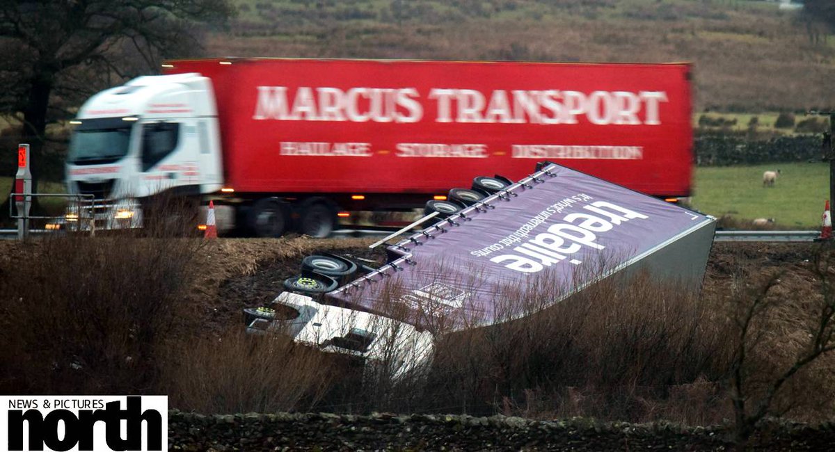 North News tweet media