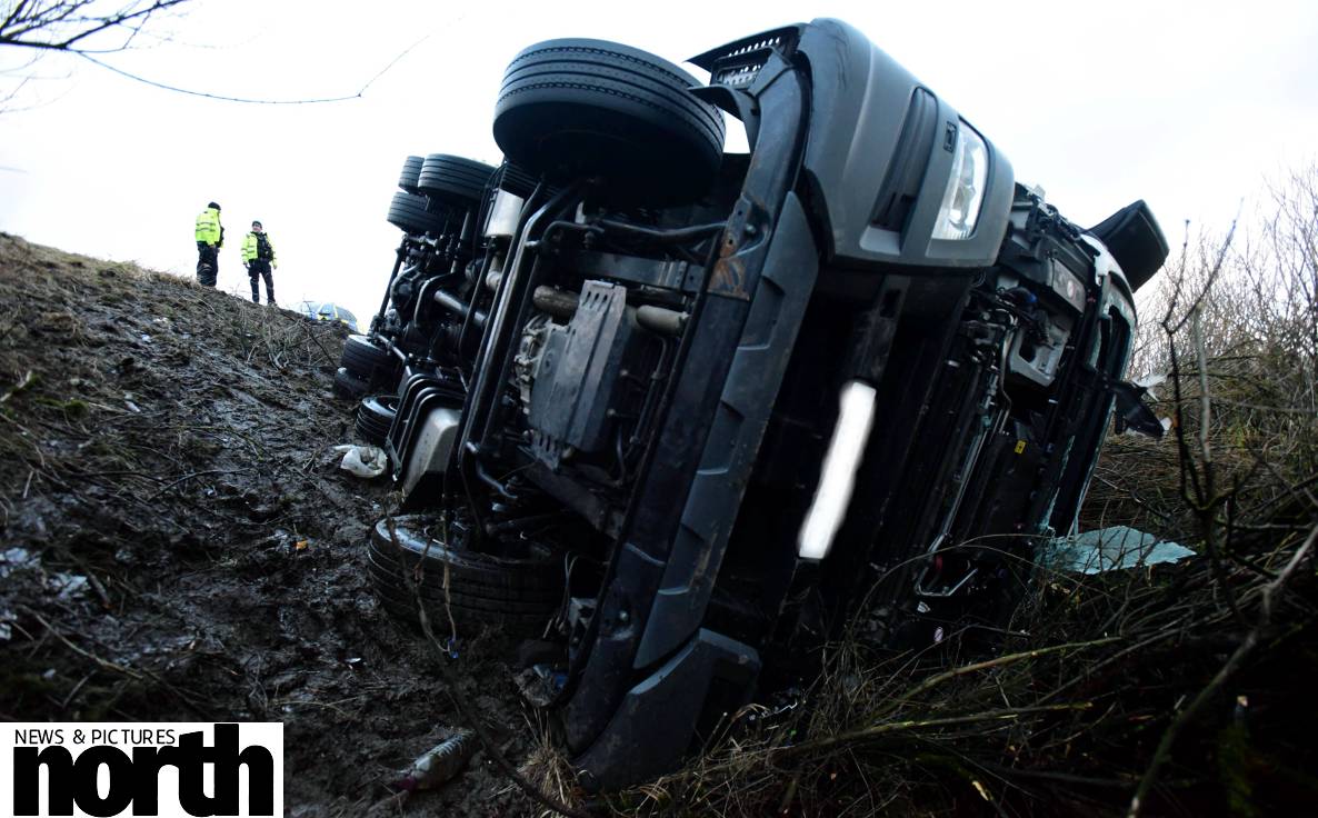 North News tweet media