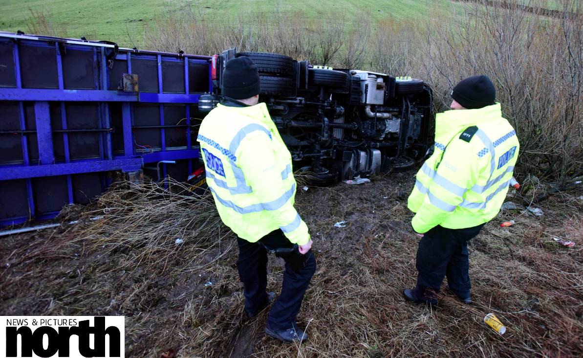 North News tweet media