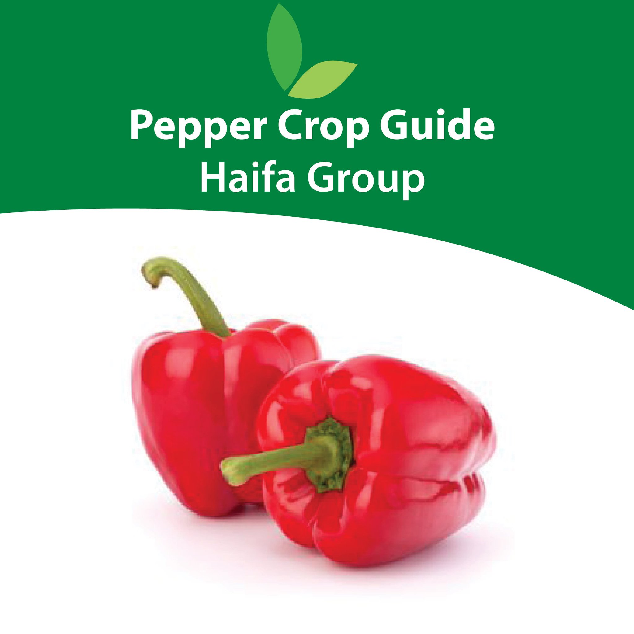 Haifa Group on Twitter "What are the nutritional requirements for