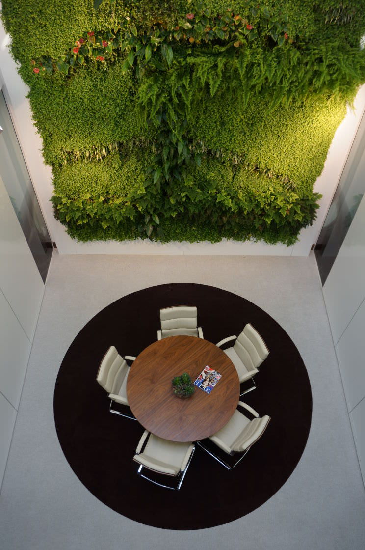 flora_tec tweet picture