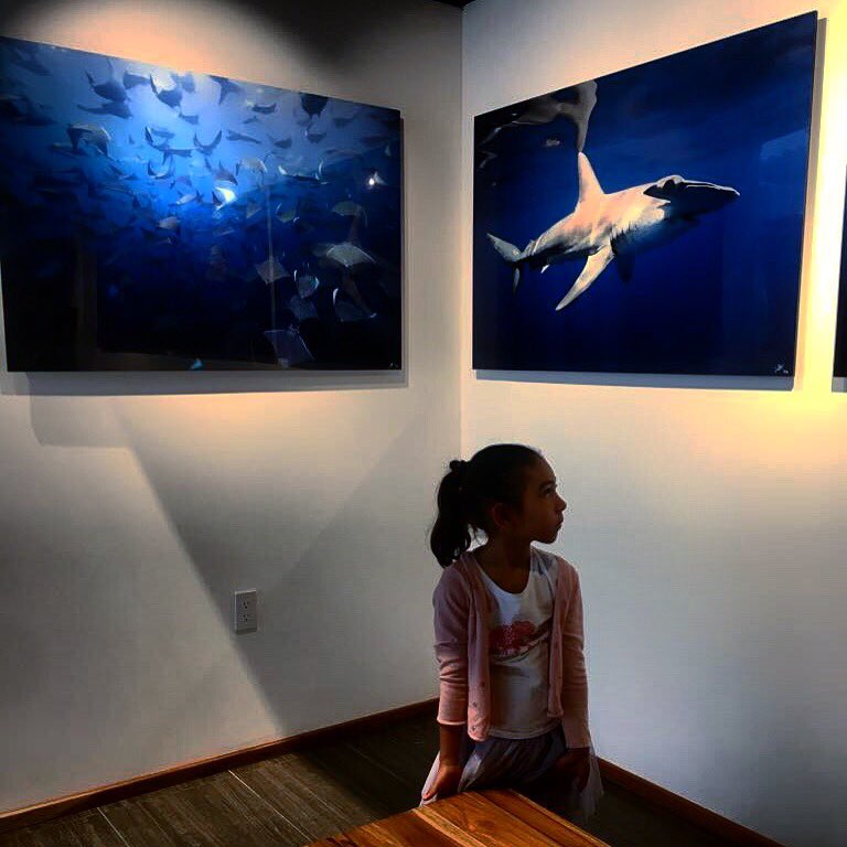 PelagicSafari's tweet photo. Wild kids welcome! Visiting our Gallery is a wonderful way to get your children closer to nature. #PelagicFleet #CaboSanLucas #Baja https://t.co/jUwDRMmei9