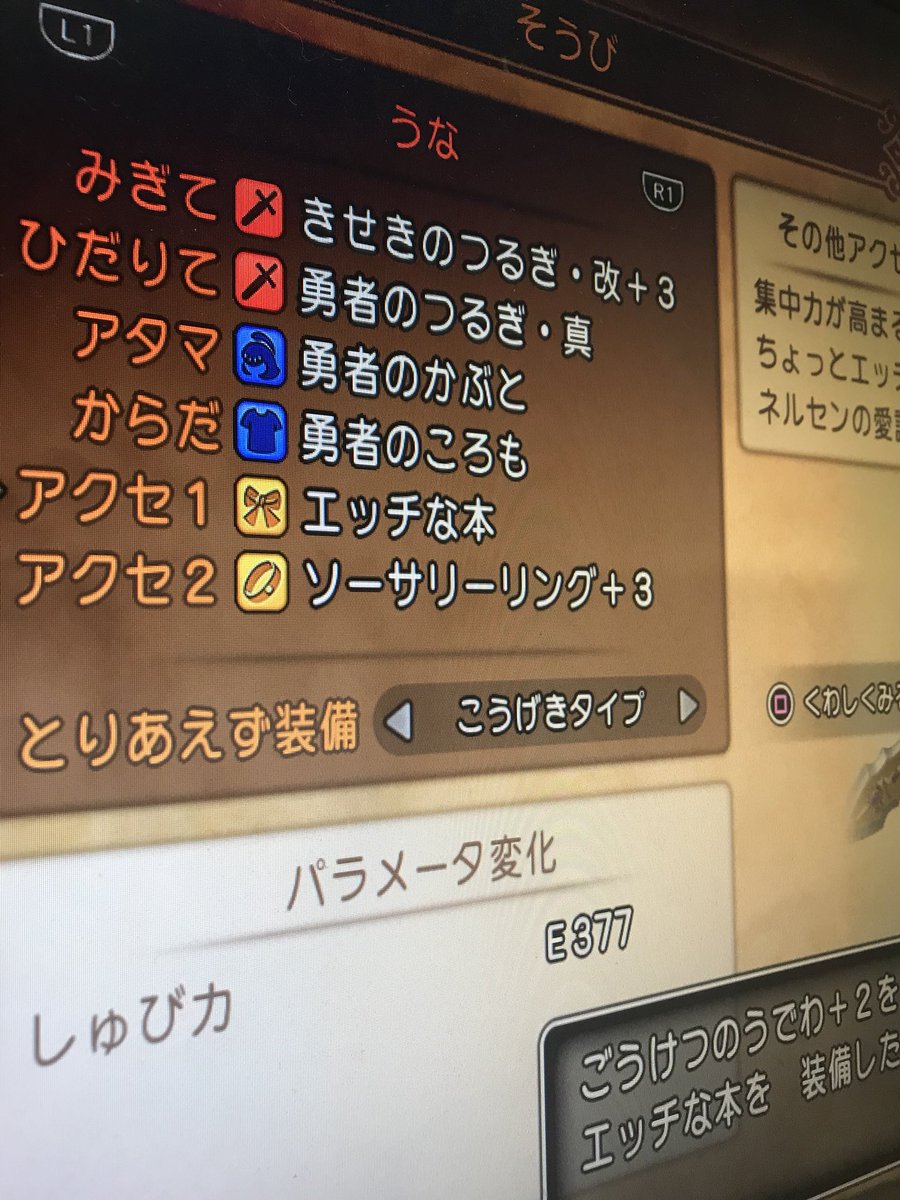 まいね Twitterren 試練の里でエッチな本を手に入れた 装備できるのが主人公とロウだけとかどういうことwww むっつり主人公め あとはラスボスに挑むのみ 長かった
