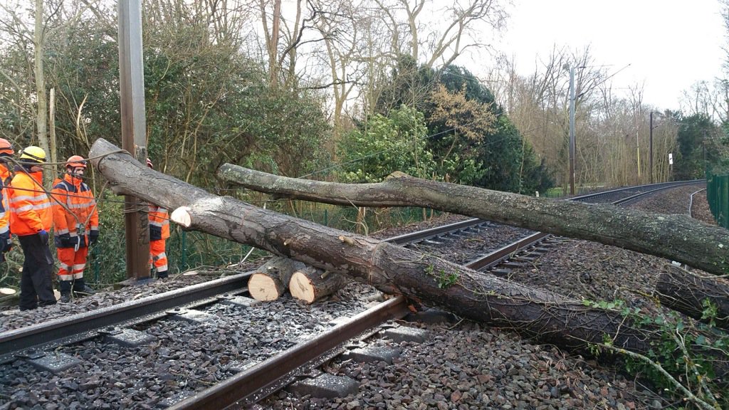 Love_Saint_Laz's tweet photo. Les équipes #SNCF à pied d'œuvre pour débiter arbres et réparer voies/caténaires après le passage #tempeteEleanor https://t.co/FAwjgYFGXO