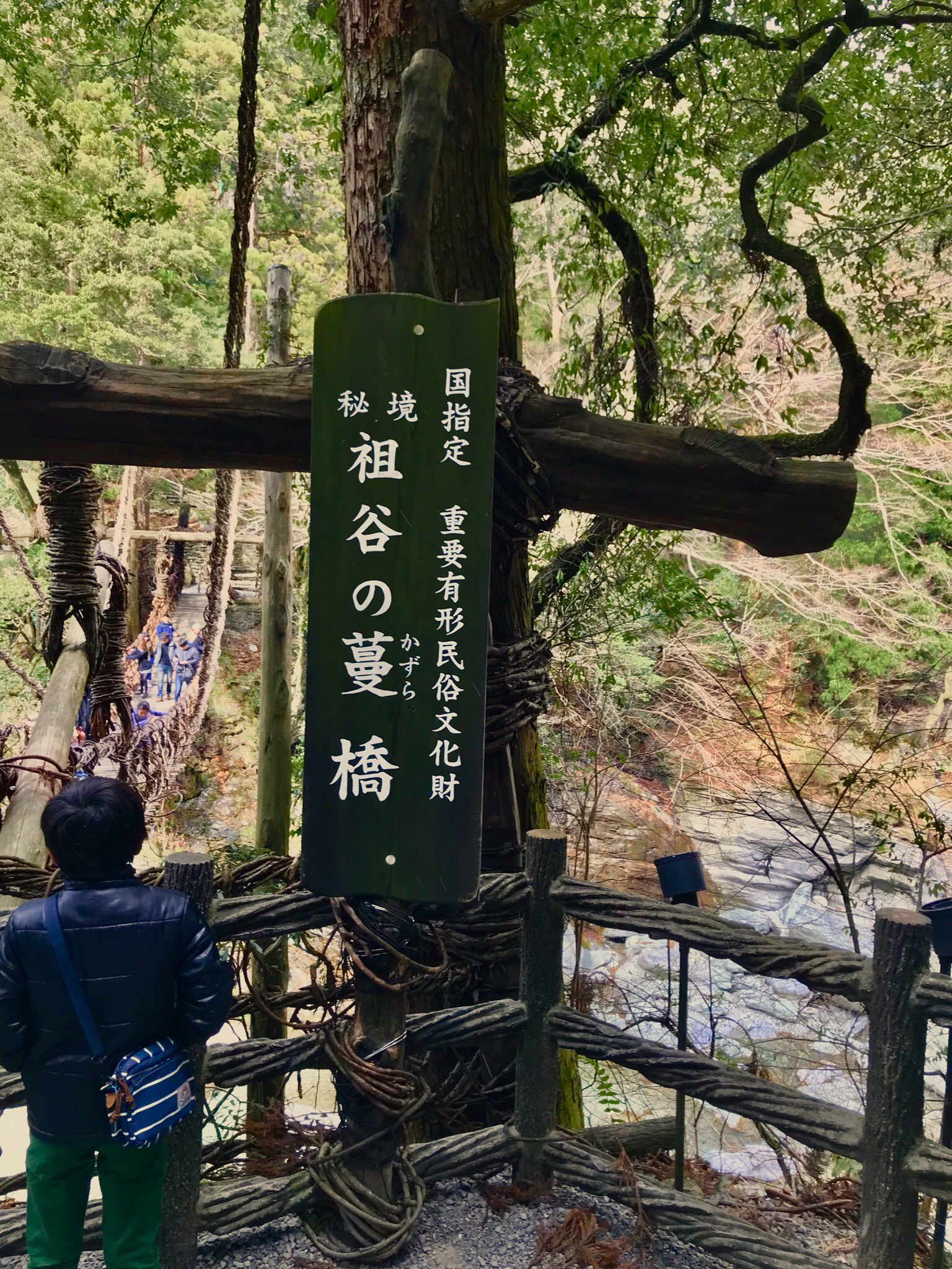 Twitter 上的りんすい3776 祖谷のかずら橋 三好市 大歩危小歩危 小便岩祖谷渓の小便小僧 徳島 雪 川の透明度ハンパないhttps T Co Wzgidkvfwj Twitter
