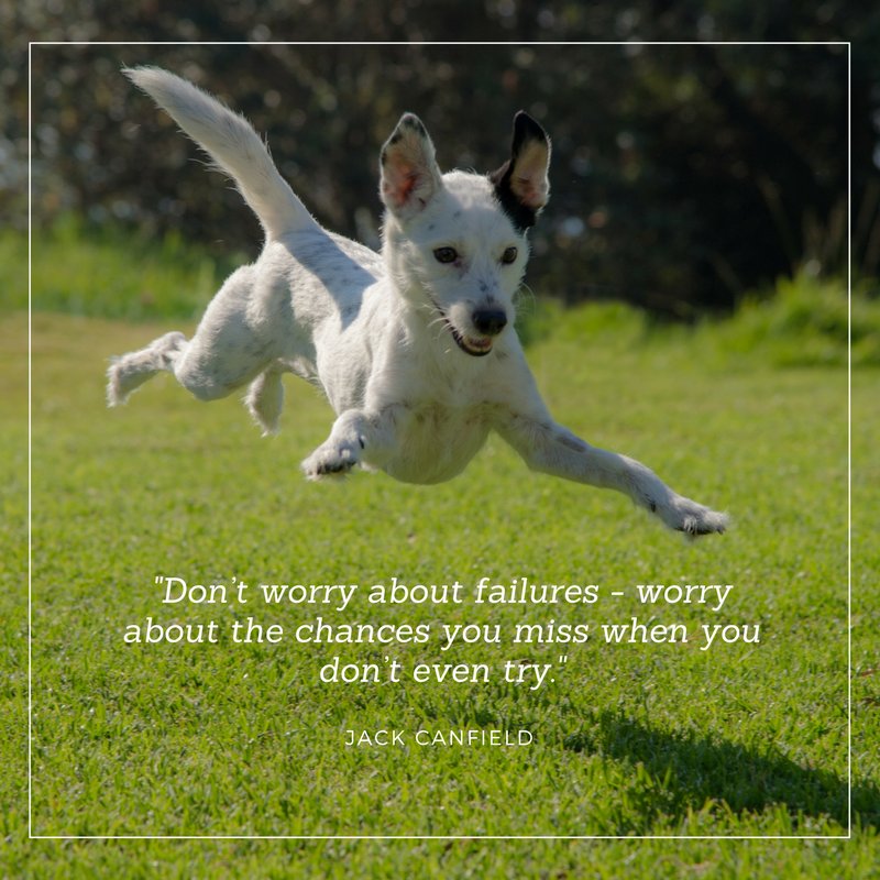 lead_sa's tweet photo. Here's some #WednesdayWisdom to get your day started. Have a great one!

#LeadSAMornings #WednesdayMotivation #quoteoftheday https://t.co/zuMOVKkLiI