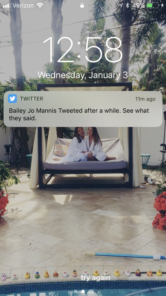 ❀ KL tweet media