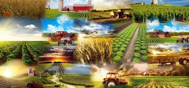 farmerscornerng's tweet photo. The gateway to any economy development is source of materials. Through materials available all other sectors such as manufacturing, banking, insurance, ICT and others would be made active.

No other sector has the power of such other than agricultural sector. Let's fix agribiz. https://t.co/Gdv4KTVSan
