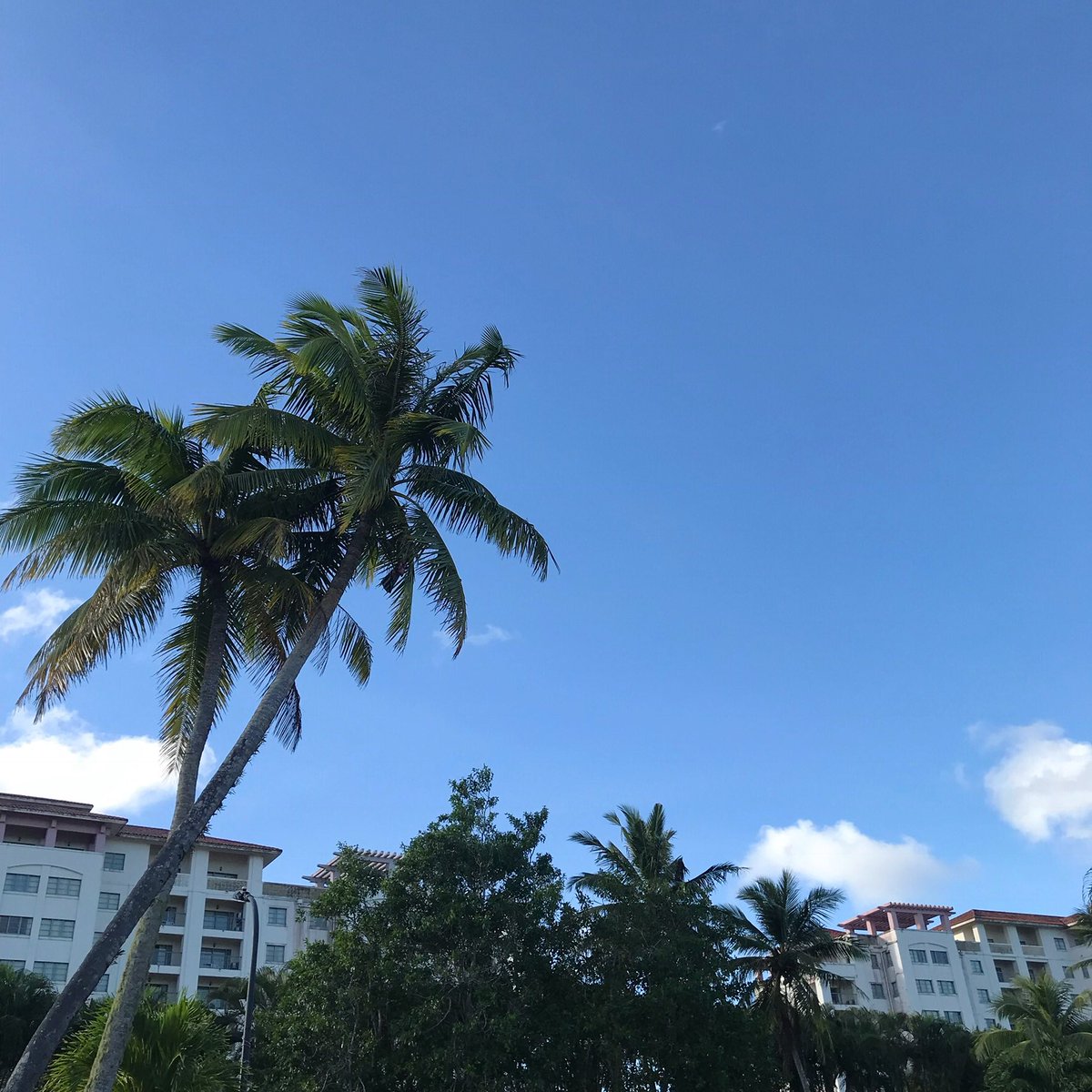 leo_palace_guam's tweet photo. Book your home away from home experience today and start your new year bright here in the heart of Guam! Call 471-0001 for reservations or more information 😎#LeoPalace Resort #guam resorts #travelguam #leopalaceexperience #hotelstay #pacific #westpac #yona #paradise #guahan https://t.co/rHKgohxRKw