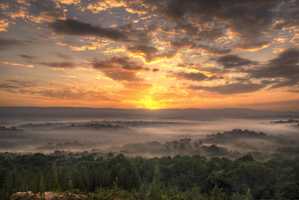 Kenya Wildlife Service tweet media