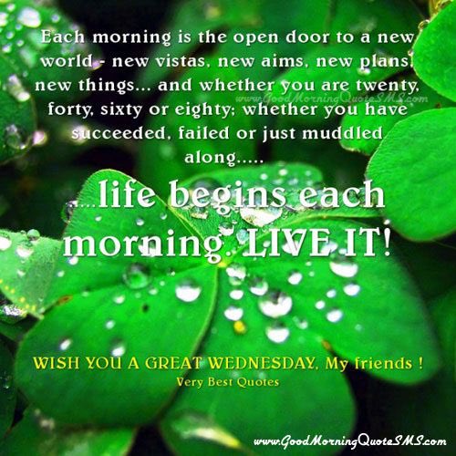 TealHeather's tweet photo. 💚Goodmorning Tweethearts 💚hope your day is every bit as special as you all 💚Live💚Love💚Laugh💚Just Be Happy 💚xx https://t.co/kuhfqQYZlr