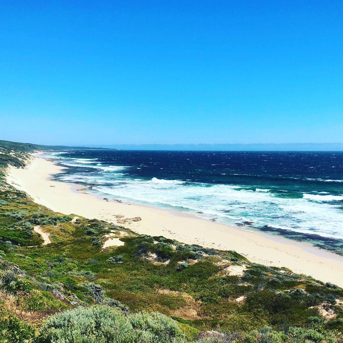 ...2/2

Not here either???

#wherearethepeople #margaretriver