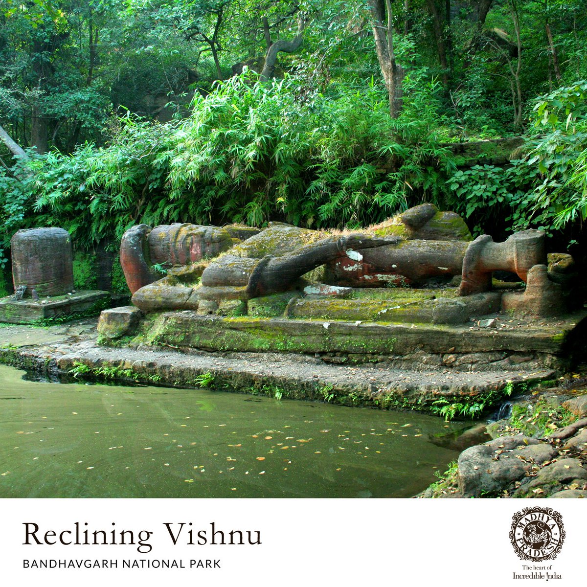 Bandhavgarh is not just about tigers and wildlife! This place also has a magnificent statue of reclining Vishnu from the 10th century amidst the jungle! 
Book your tour now! bit.ly/2z7osd6
#HeartOfIndia #MPTourism #Bandhavgarh #Wildlife #AmazingMP #Vishnustatue