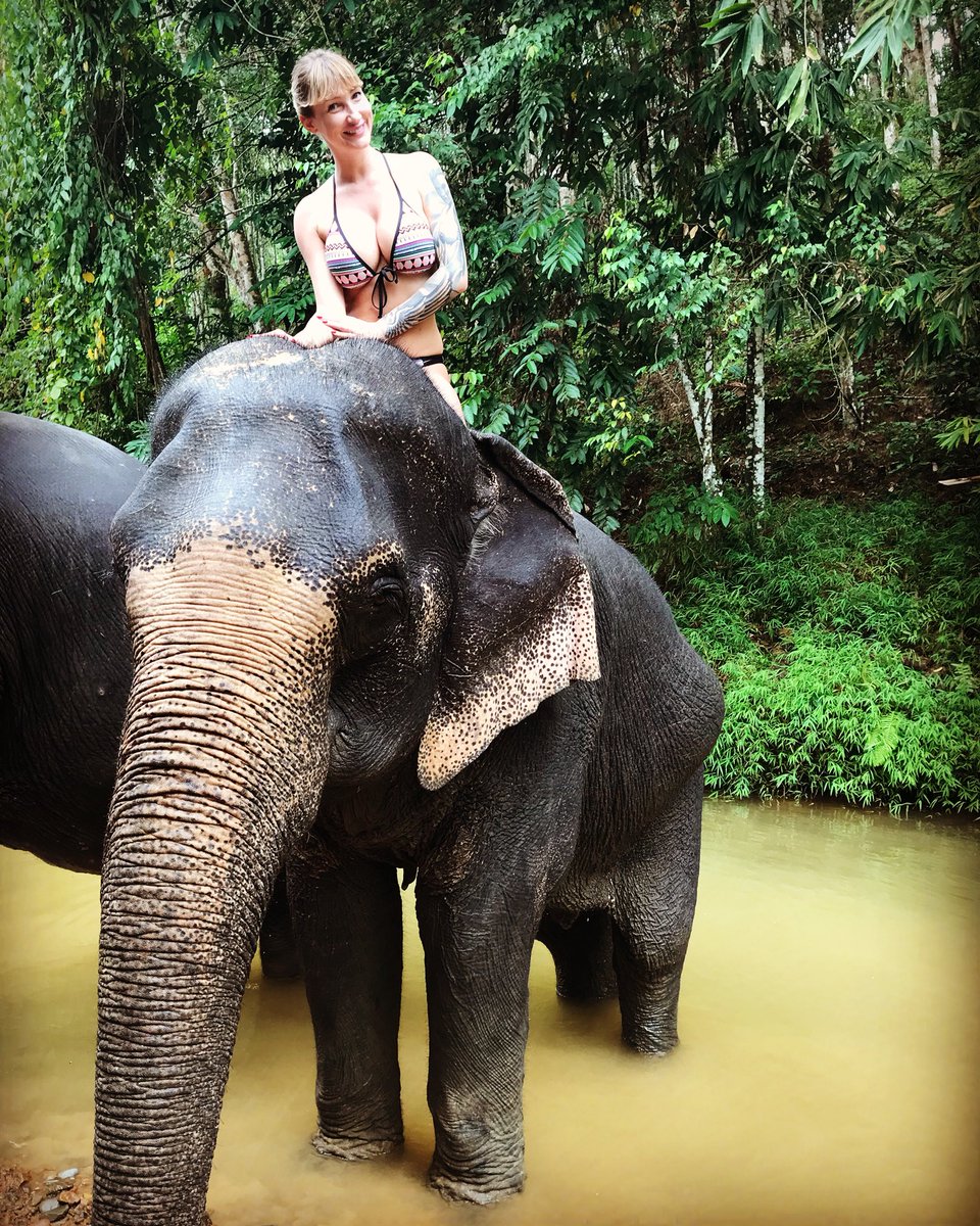 mesarosovacz's tweet photo. #elephant #zazitek #na #cely #zivot 🍀 #privezla #jsem #jim #asi 5 kg #bananu 🍌🍌🍌🍌 #snedla #to #jak #jednohubku 🤭 #Thailand https://t.co/33Tinz0B3b