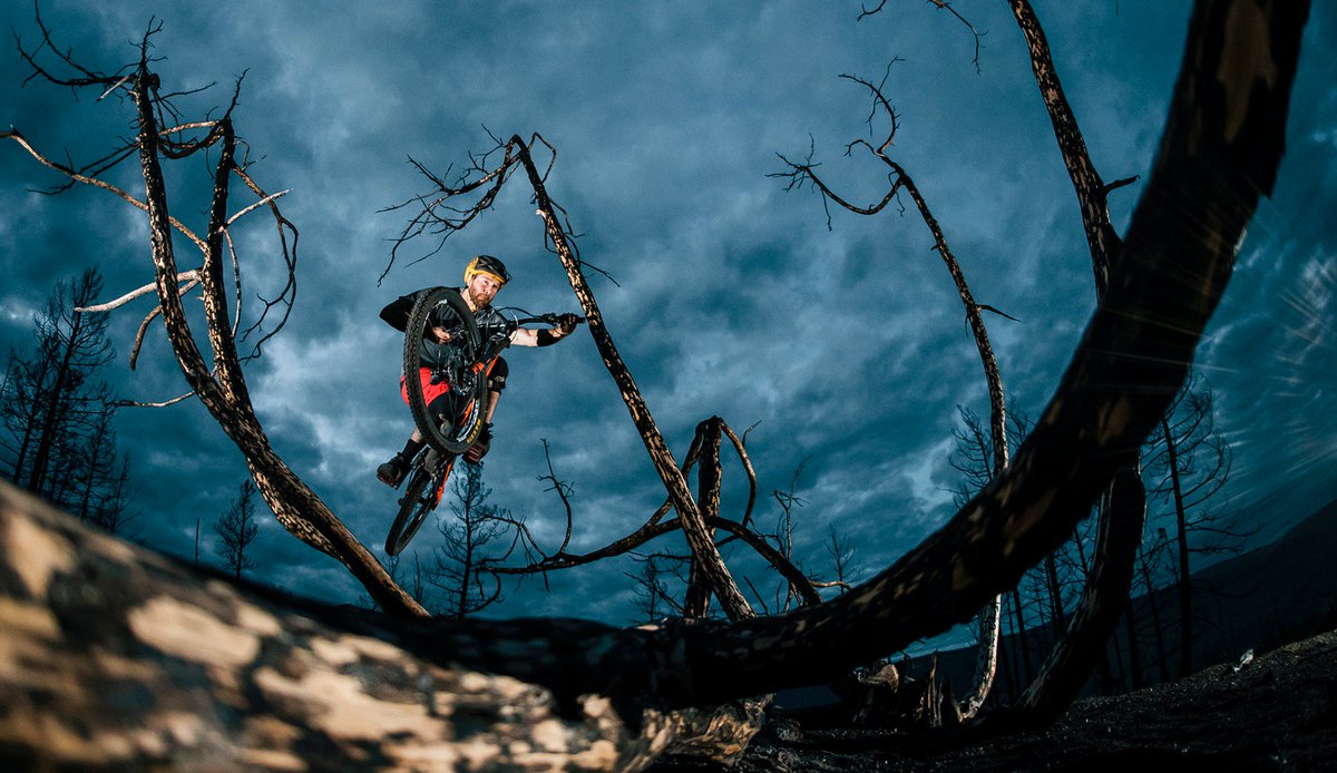 Vital MTB tweet media
