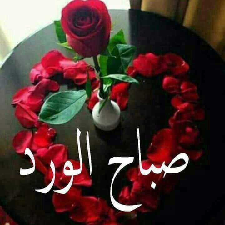 صباح الخير