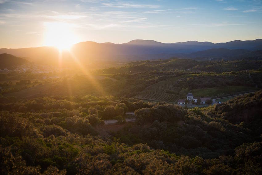 Toute l'équipe des <a href="/VinsduLanguedoc/">Vins du Languedoc</a> vous souhaite une très belle année 2018 #Bonneannée #BonneAnnee2018