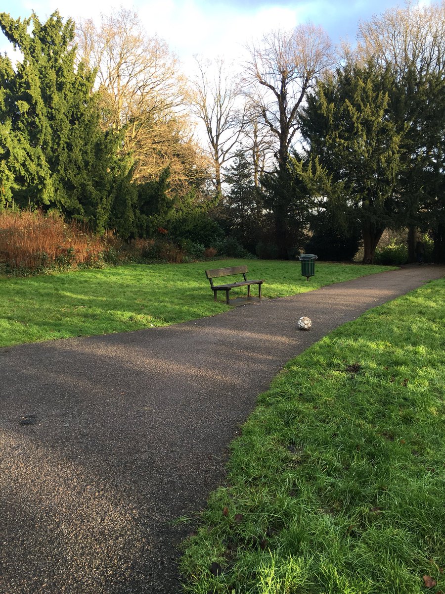 Dai_Twice's tweet photo. @Lostfootballs here’s one for you. I punted it into the trees for good times sake #haveit #rip https://t.co/2ci3fGWhsI