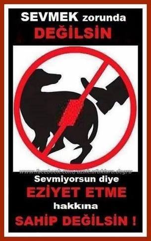 Kesinlikle hayvalara siddet uygulamayin