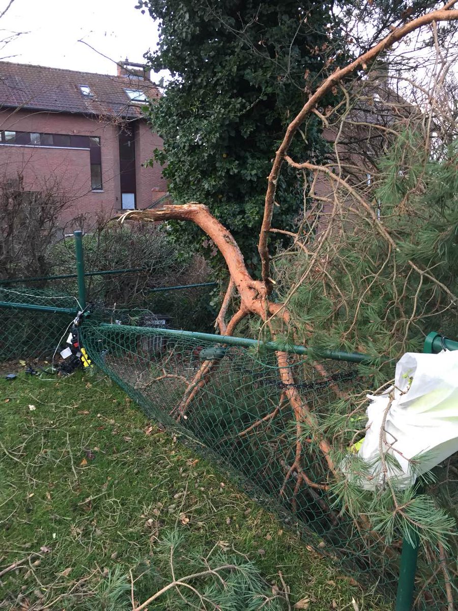 Преглед на изображението в Twitter