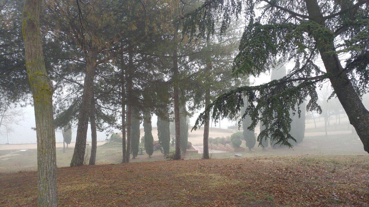 JaviRun42k's tweet photo. 10 kms por el lago de Polvoranca q me vió crecer 😍 #Alcorcon #AbueloCebolleta Poco a poco volviendo a correr sin molestias. Ya queda menos 💪 @FisioBando @haruki_sv #RoadToMapoma https://t.co/Wn6DSim3eX